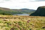 Paisaje alrededor de Lago Luggala, Irlanda.