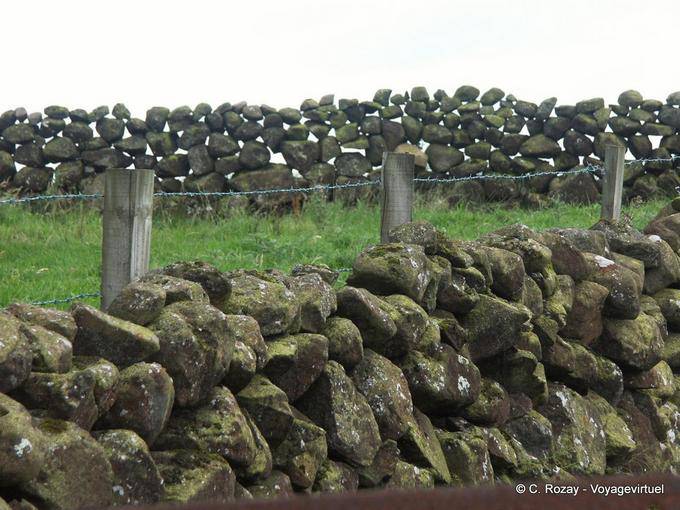 Pared de piedra, típico de Ulster paisaje, praderas de separación, costa de Antrim - Irlanda del Norte
