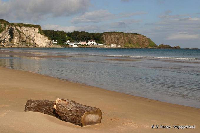 Driftwood en la arena frente al Puerto de Braddan, White Park Bay - Irlanda del Norte