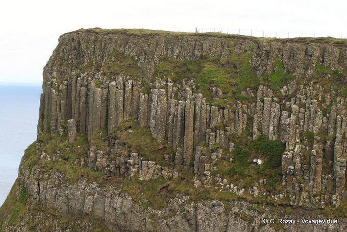 Tubos de órgano de basalto en la meseta de Antrim, Calzada de los Gigantes - Irlanda del Norte