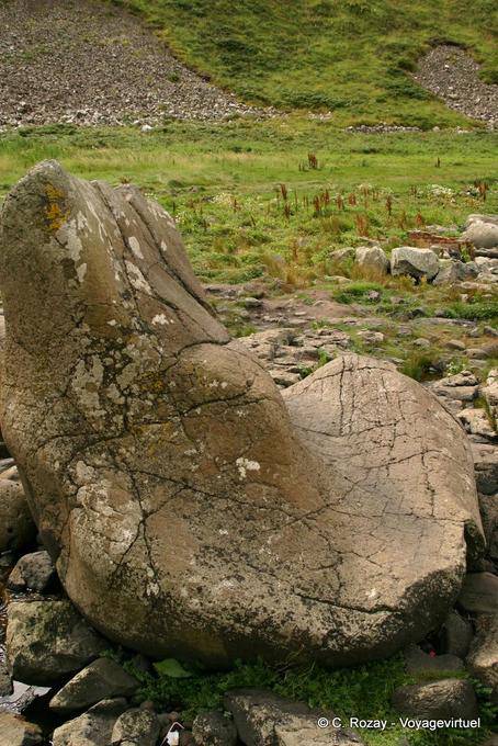 Bloque de arranque, piedra de los Gigantes a la forma intrincada, Calzada de los Gigantes - Irlanda del Norte