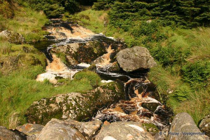Pequeña secuencia en Glenaan Road, Antrim Guiness - Irlanda del Norte