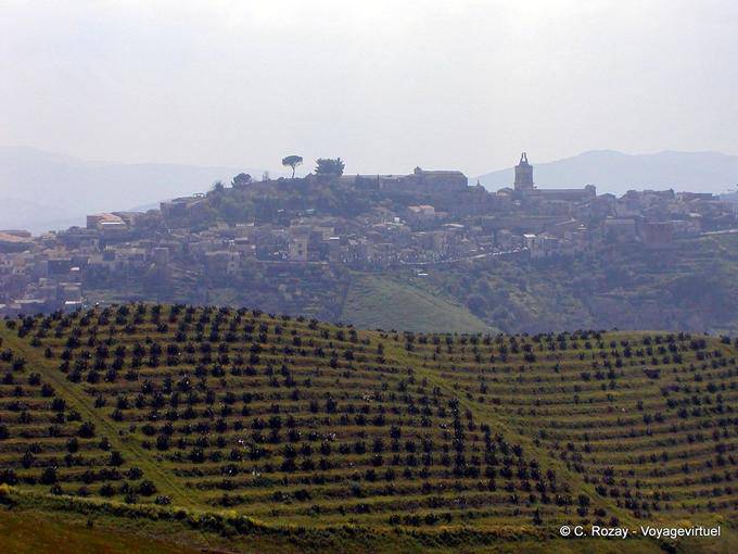 Rústico paisaje siciliano - Italia