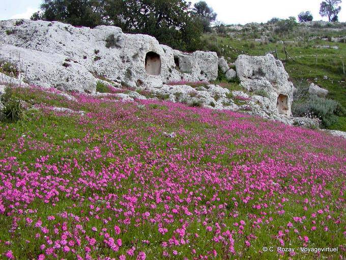 Cueva florido Ispica campo - Italia