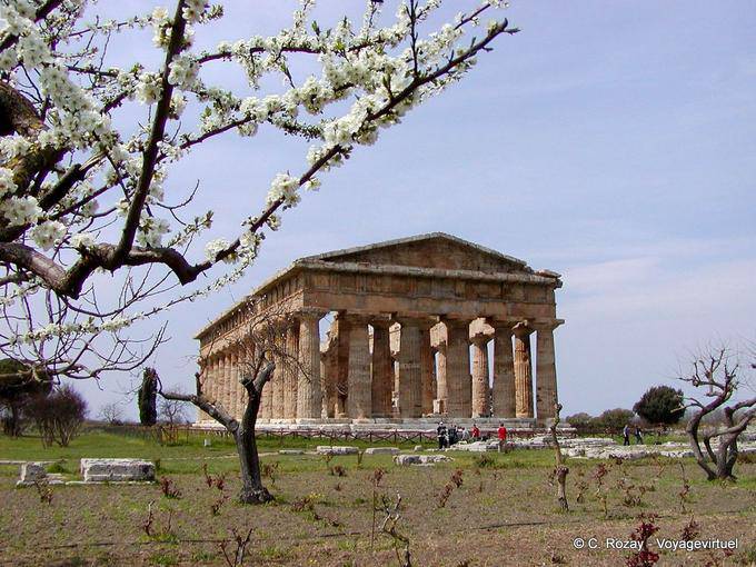 El Templo de Hera II en la primavera, Paestum - Italia
