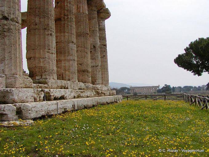 Las enormes columnas del templo de Neptuno, Paestum - Italia