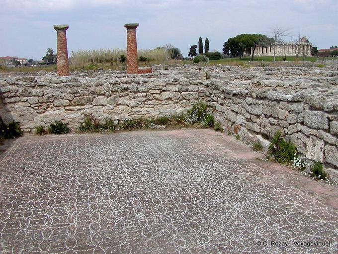 Mosaicos de Paestum - Italia