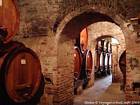 Bodega, Montepulciano, Italia.