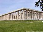 Bosque de columnas se ve desde el ángulo de la Basílica, Hera, Paestum, Italia.