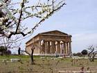 El Templo de Hera II en la primavera, Paestum, Italia.