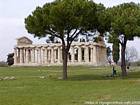 Perfil del Templo de Atenea, Ceres, Paestum, Italia.