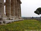 Las enormes columnas del templo de Neptuno, Paestum, Italia.