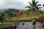 El hermoso paisaje crecido desde el hotel Jambewangi, Java, Indonesia.