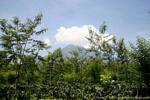 Vegetación y nubes sobre un volcán, Jambewangi, Java, Indonesia.