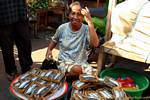 Pila de discos como las sardinas, el mercado de pescado, Banyuwangi, Java, Indonesia.