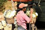 Los menores de edad están mal pagados, y el Titular recibe $ 0,05 por libra de azufre, Kawa Ijen, Java, Indonesia.