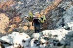 12 toneladas de mineral de azufre se extraen diariamente, Kawa Ijen, Java, Indonesia.