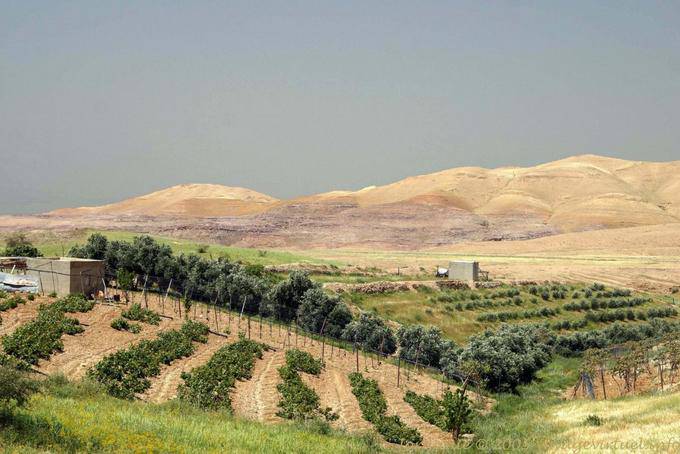 Culturas en el desierto mineral, Jordania - Jordania