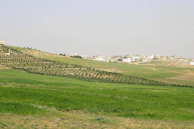 Meseta fértil Kings Road - Jordania