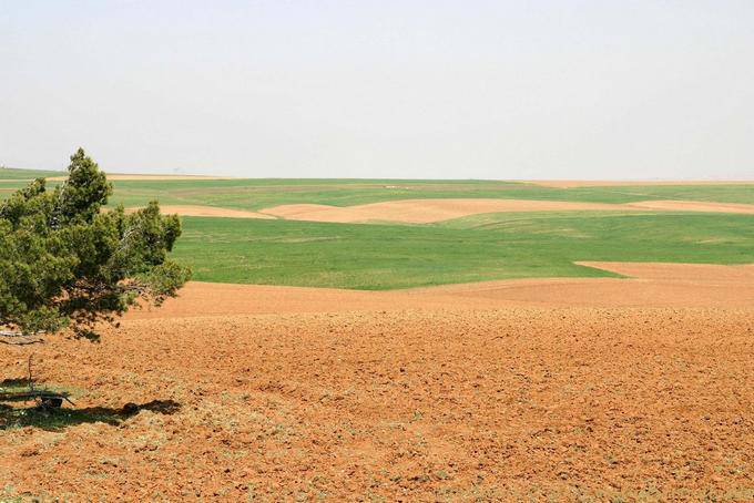 Los colores en la del rey de Jordania Road, Kings Road - Jordania