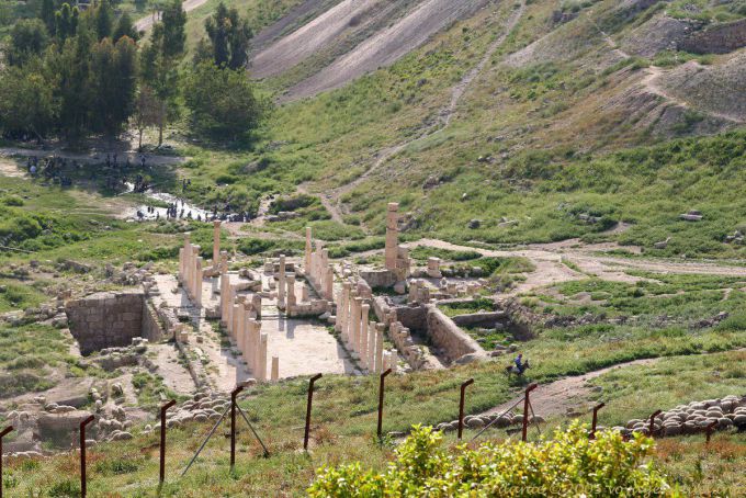 Ruinas de Pella (Tabaqat) - Jordania