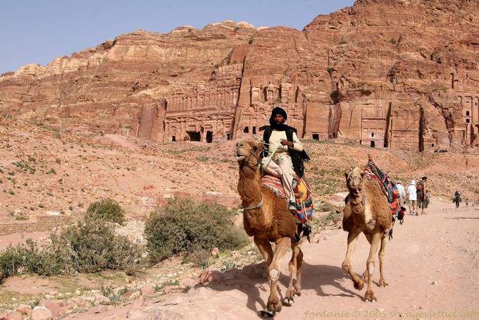 Camello delante de las tumbas reales, Petra Khubta - Jordania