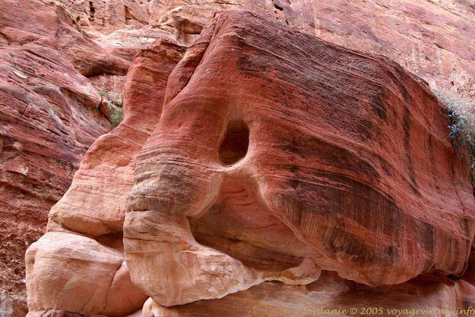 Elefante de piedra arenisca en el desfiladero de Siq, Petra - Jordania