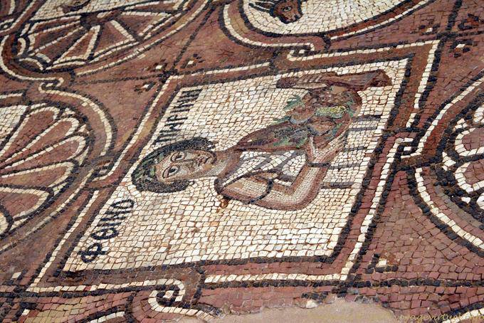 Cesta de frutas, mosaico de la iglesia bizantina de Petra - Jordania