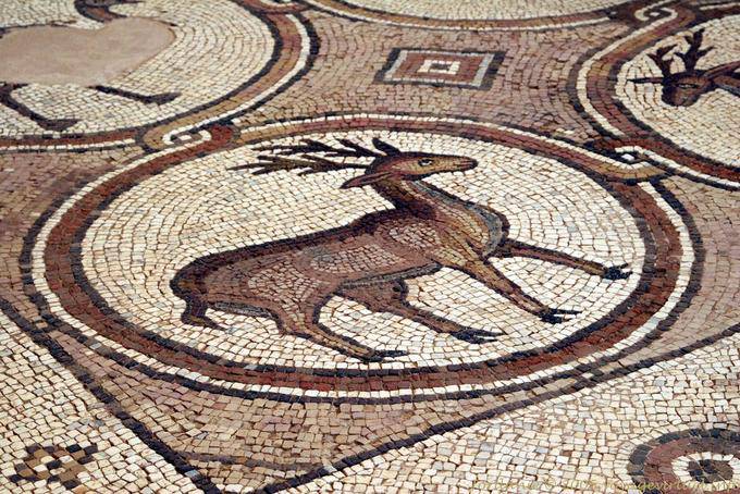 Deer, mosaico de la iglesia bizantina de Petra - Jordania