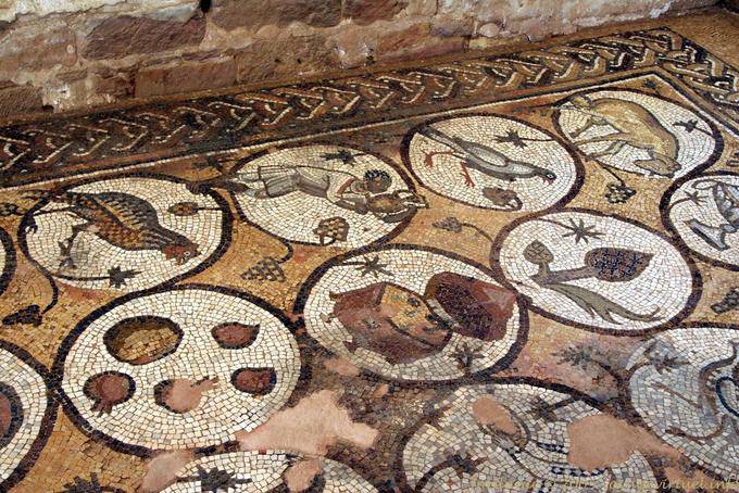 Mosaicos que representan animales y plantas, iglesia bizantina en Petra - Jordania