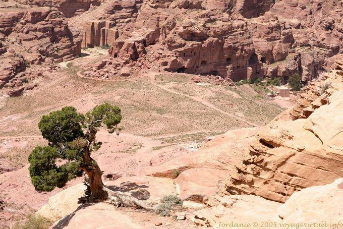 Perspectiva sobre el valle se estrecha del lugar alto, Petra Zib Attuf - Jordania