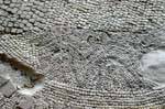 Detalle del antiguo mosaico que adorna el suelo de la iglesia del siglo VI Madaba, Jordania.