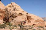 Ane por el camino de Deir, Petra, Jordania.