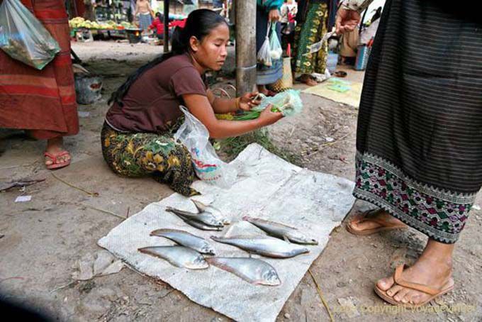 Pescado fresco en el mercado, Khong Island, Laos