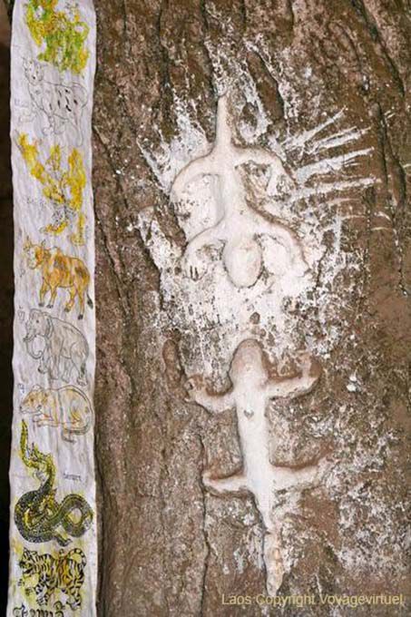 Salamandras, Cueva de Tham Phum, Pak Ou, Laos