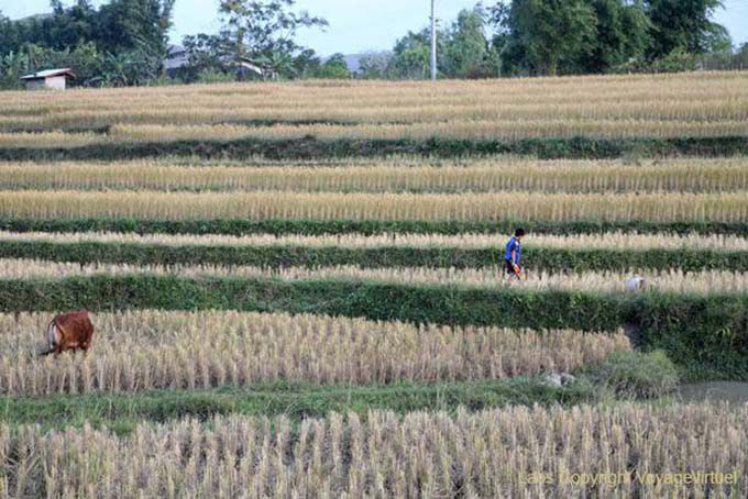 Geometría Campesina, Xieng Khouang, Laos