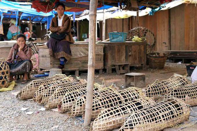 Vendedores de mercado del cerdo en Phonsavan, Xieng Khouang, Laos