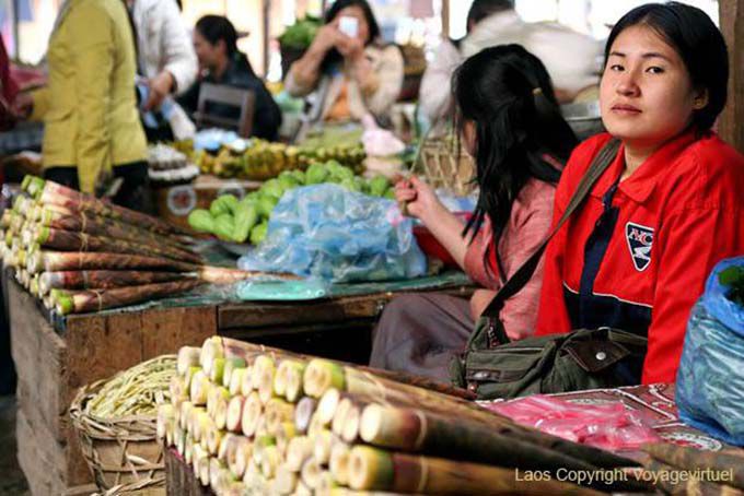 Arroz meloso de la caña de azúcar, Xieng Khouang, Laos
