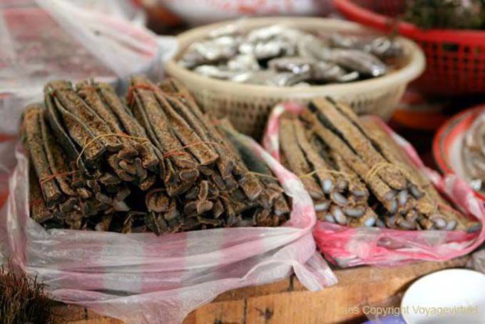 Grasa Buffalo, Xieng Khouang, Laos