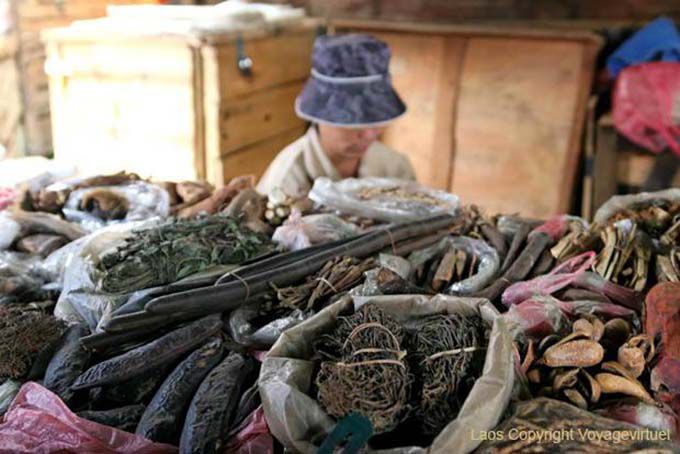 Mercado Lao Farmacopea Xieng Khouang, Laos