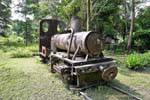 Tren colonial Locomotora de vapor Khone Island, Laos.