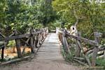 Puente de madera en el camino de Li Phi cae, Khone Island, Laos.