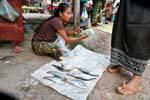 Pescado fresco en el mercado, Khong Island, Laos.