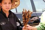 Mujer que vende saltamontes fritos, Vat Phou, Laos.
