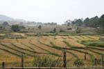 Campos esculpidos Xieng Khouang, Laos.
