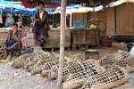 Vendedores de mercado del cerdo en Phonsavan, Xieng Khouang, Laos.