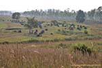 Panorama de la Llanura de las Jarras, Xieng Khouang, Laos.