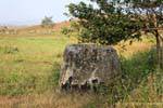 Bajo el árbol, Llanura de las Jarras Xieng Khouang, Laos.