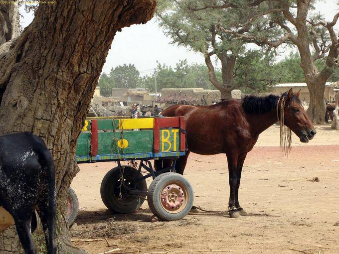 Sarro Charette Mali