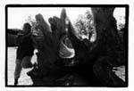 Latakaff, gamin sur un tronc d'arbre, Mali.